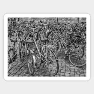 Bike park in Maastricht, Holland Sticker
